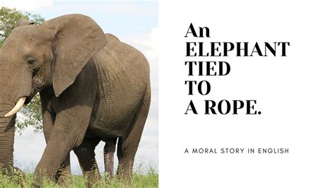 elephant tied with rope|Stories With Morals .